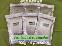 【もて茶って】無農薬 抹茶１００g x ６袋　静岡産　無糖　Matcha　新商品