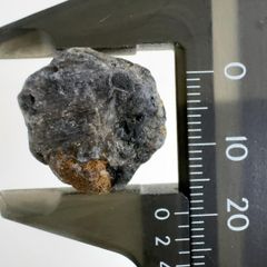 龍涎香 AMBERGRIS 0.1g 低品質 徳之島にて取得 - メルカリ