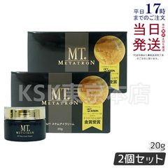 新品ARTISTIC&CO IONイオン導入導出美顔器スキンスクライバーネイビー ARTISTIC＆CO. 正規品販売店 ARTISTIC&CO ION イオン導入導出