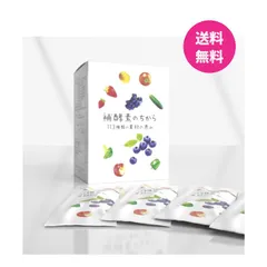 補酵素のちから  ペースト 113種類の素材の恵み 8g ×30包入 野草原酵素 エキス サプリメントのサムネイル