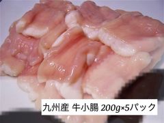 九州産　牛小腸　200g×5パック