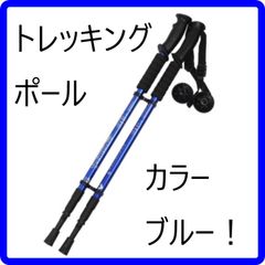 Item thumbnail for item 991caee6-adba-42f4-9984-f8a720529b76