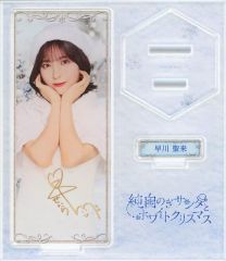 抱き枕カバー・シーツ(女性)　橋本奈々未 個別ブランケット 2016年乃木坂46オフィシャルウェブショップ限定 中古】抱き枕カバー・シーツ(女性) 橋本奈々未 個別ブランケット
