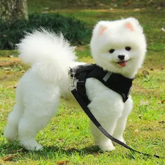 ペット用ヘーネス＆リード　ブラック