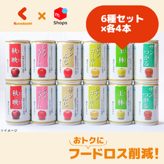 長野県産「ストレート果汁100％ りんごジュース6種飲み比べセット」160g×24本【賞味期限内かつ、ご注文日から3～11日（土日祝を除く）を目処に発送いたします。】