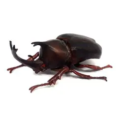 2026年最新】昆虫の森の人気アイテム - メルカリ