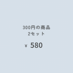 2点　『おまとめ購入』専用ページ