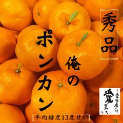 愛媛産　今津ポンカン　秀品5kg