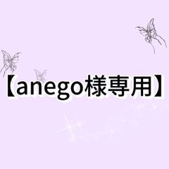 【anego様専用】