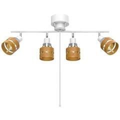 富士電器 白熱灯照明器具 スポットライト 天井照明 インダストリアルRW232