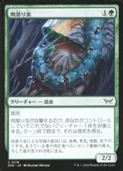 【中古】マジックザギャザリング 0178[C]：【DSK】肉潜り虫/Flesh Burrower