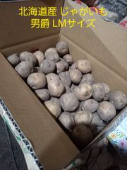 北海道産　じゃがいも　男爵またはとうや　LMサイズ　箱込み１０キロ