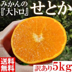 せとか 5kg 高級柑橘 みかんの大トロ 訳あり 大特価 ブランド 和歌山県産 オレンジ フルーツ 果物
