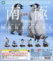 2026年最新】ネイチャーテクニカラー 南極の人気アイテム - メルカリ