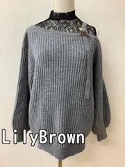 LilyBrown リリーブラウン グレーニット 重ね着風 サイズF