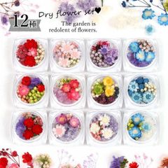 ドライフラワー 12種 フラワーアソートセット スタッフおまかせ♪ 花材 レジン