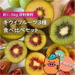 離島対応★旬完熟キウイ3種お試しセット 紅妃 東京ゴールド アップルキウイのサムネイル
