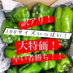 大特価！！100サイズ　朝採れピーマン