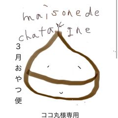 ココ丸様専用　おやつ便　シフォンケーキサンド　チーズケーキ　テリーヌ