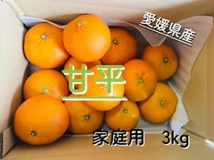 きたーーーーー‼️数量限定‼️ビックパンツ甘平ちゃん約5kg7980円10 2025年最新】甘平の人気アイテム - メルカリ