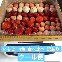 いちご  苺  4色  食べ比べ  訳あり  クール便