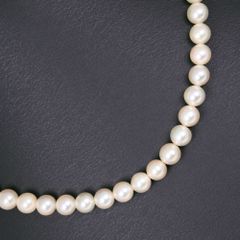 真珠 6.4～6.6ｍｍ パール×シルバー レディース ネックレス