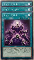 ポケモンカード クラシック Classic フシギダネ フシギソウ