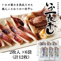 干物 いか一夜干し 2枚入×6袋 塩焼き、炒め物、バター焼き プリプリとやわらかイカの開き お酒の肴としても