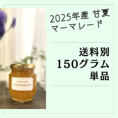 【手渡し専用】無添加・手作り 甘夏マーマレード（単品）