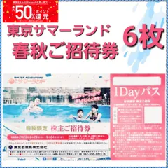 ⭐︎夏休み利用可○東京サマーランド株主優待○ご招待券10枚 10い-