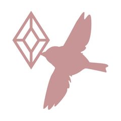 shop-thumbnail
