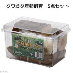 Item thumbnail for item d8116523-bd1a-4486-b096-07817b337d87