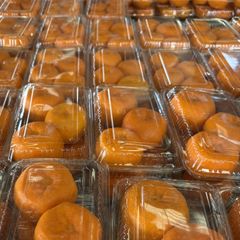 愛知県産 訳あり蒲郡ハウスみかん（大玉）1ｋｇ