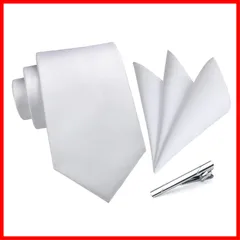 【数量限定】シルバー 結婚式 ネクタイ チーフ セット ネクタイメンズ ビジネス 3点セット タイクリップ 高級 フォーマル ギフトボックス付き 紳士用 礼服用 [HISDERN] 入学式 卒業式 TA-001S
