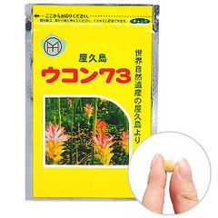 ウコン73/粒タイプ/120粒/約12日分