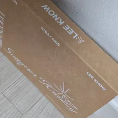 Stray Kids(ストレイキッズ・スキズ・SKZ) リノ(LEE KNOW・イミンホ) DICON A セット 付属品完備 トレカ 付き フォトカード 付き