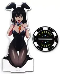 【中古】アクリルスタンド・アクリルパネル 姫柊雪菜(バニーver.) デカアクリルスタンド 「ストライク・ザ・ブラッドFINAL」