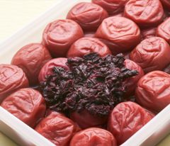 本場 紀州南高梅 みなべ産 完熟しそ梅 1kg (A級)