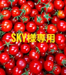 SKY様専用 3kg＋100g