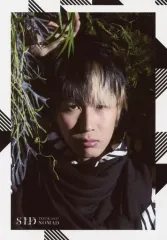 2025年最新】シド チェキの人気アイテム - メルカリ