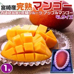 アーウィンマンゴー特大10玉(贈答用品質規格外6kg) アーウィンマンゴー特大10玉(贈答用品質規格外6kg)