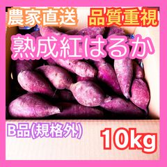 【リピーター様、フォロワー様へクーポン発行中】熊本県産　さつまいも　紅はるか　B品　10kgのサムネイル