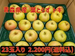 【訳あり】青森県産★葉とらず トキ23玉入★りんご