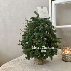 Merry Christmas 2023 小さなクリスマスツリー　23cm
