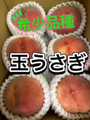 山形県産　希少品種　玉うさぎ　やや硬め　桃　もも