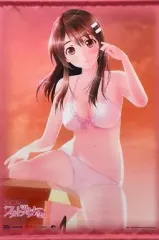【中古】タペストリー 新見遙佳 描き下ろしA2タペストリー 「PS Vitaソフト エビコレ フォトカノ Kiss」 エビテンオリジナル特典