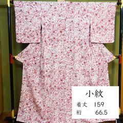 美品✨】夢工房 洗える着物 夏着物 絽楊柳 小紋 秋草模様 鳥の子色 O3
