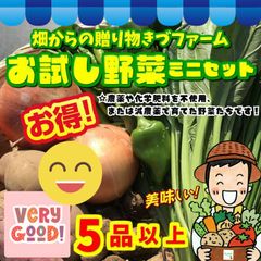 ☆農薬や化学肥料を不使用、または減農薬で育てた野菜たちです！【送料無料(常温便限定) 】お試し野菜セット５品以上！　※葉物野菜中心に入っております！