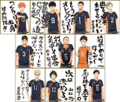 【中古】紙製品(キャラクター) 全10種セット 「ハイキュー!! ビジュアル色紙コレクション」