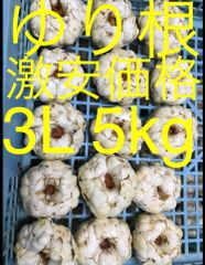 北海道産 ゆり根 3L 10kg お徳用 大特価 - メルカリ 北海道産 ゆり根 3L 10kg お徳用 大特価 - メルカリ